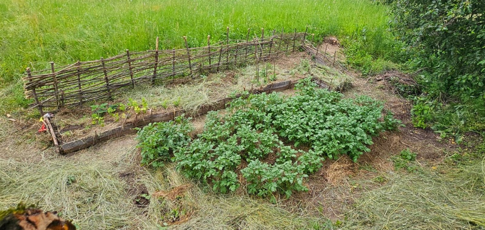 Grădina noastră — peisaj natural de munte